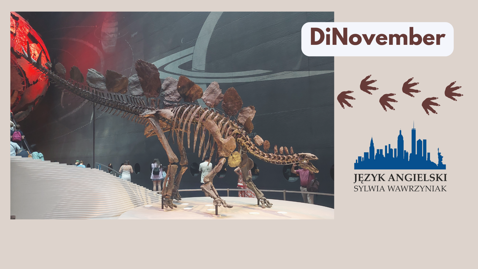 Dinozaury używane w zabawie edukacyjnej DiNovember